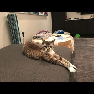 Meet your Posher, Faylyn